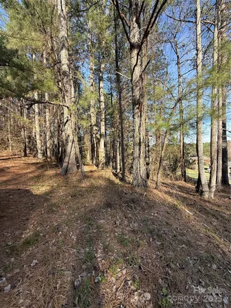 a view of a yard with a tree
