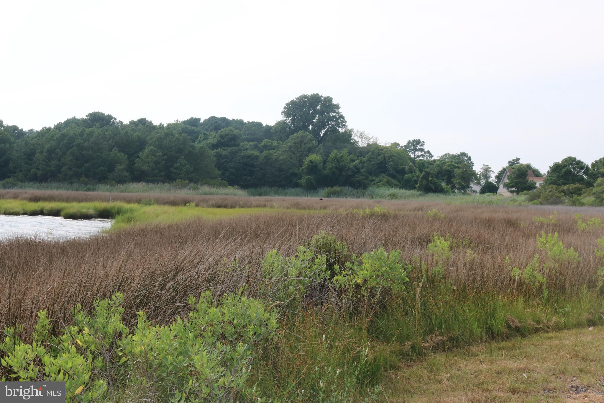 11086 Lee Avenue Deal Island, MD 21821 - Photo 9 of 10