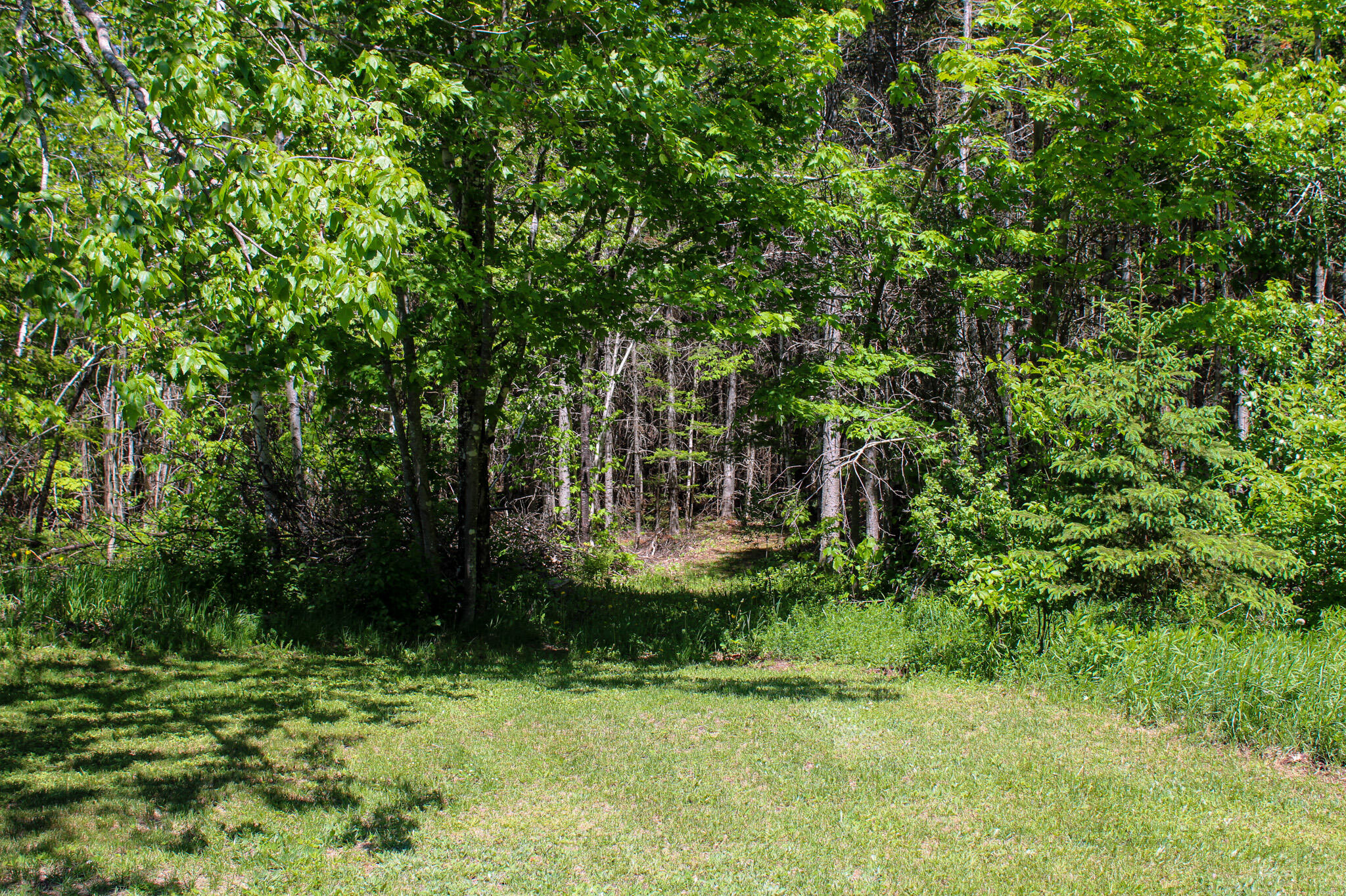 1444 Calais Road Danforth, ME 04424 - Photo 30 of 44 IMG_0417
