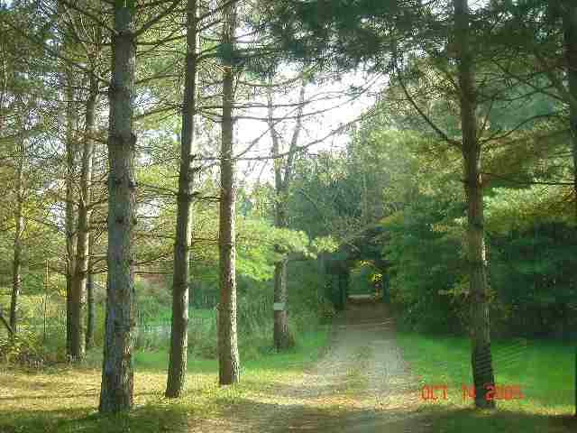 10775 State Road Rives Junction, MI 49277 - Photo 3 of 7 Photo 3