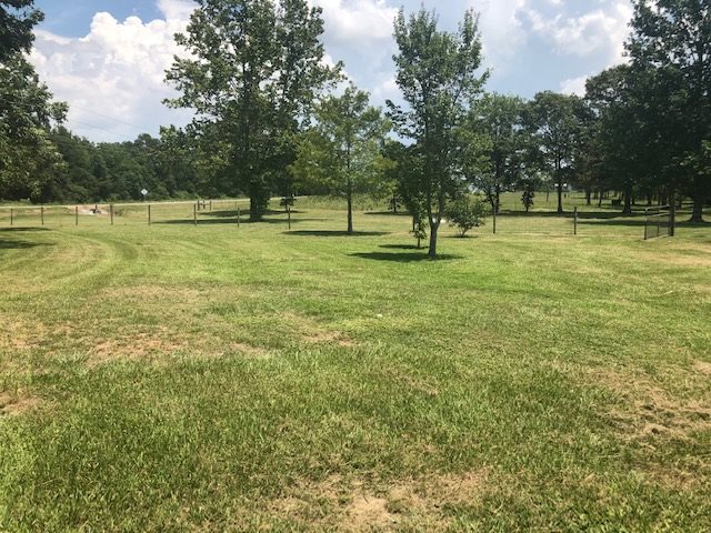 15024 Bay Road East Foley, AL 36535 - Photo 9 of 19