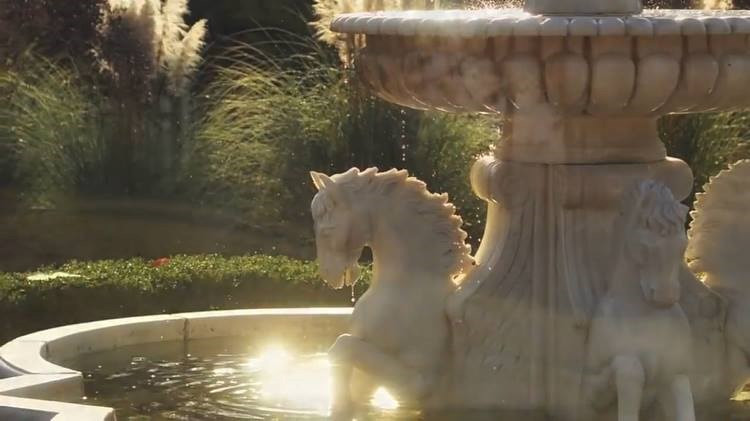 Lot 5 Rocking Horse Lane Aiken, SC 29801 - Photo 2 of 12