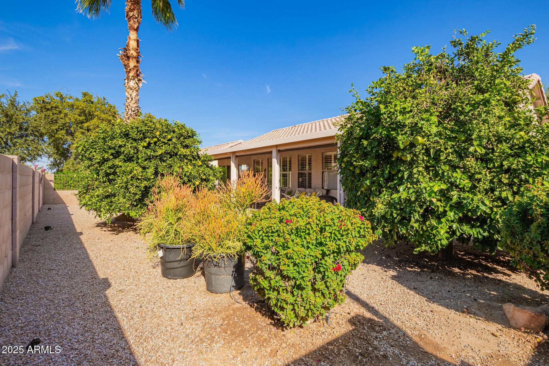6972 South Nantucket Street Chandler, AZ 85249 - Photo 26 of 40 a front view of a house with a yard