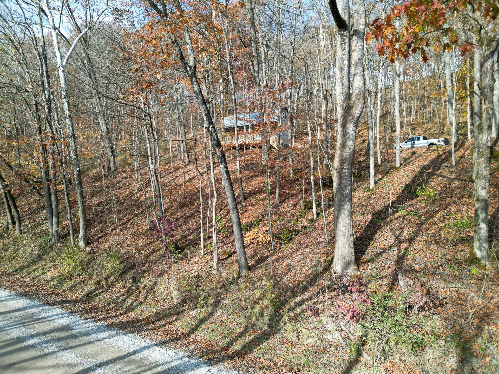 0 Keystone Road, Unit CREEKVIEW CABIN) Vinton, OH 45686 - Photo 90 of 95 CT-90