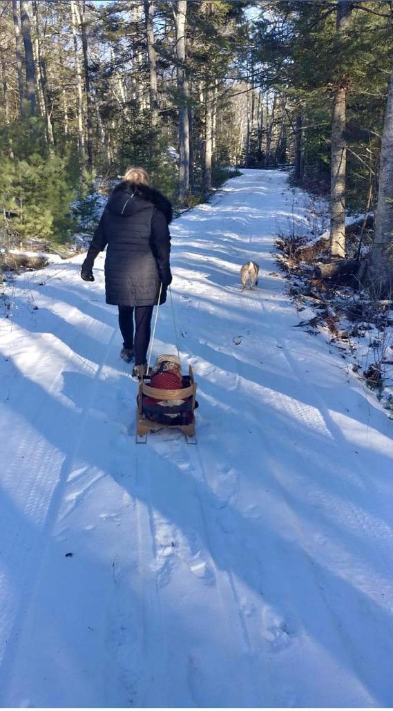 740 Friendship Road Waldoboro, ME 04572 - Photo 18 of 28 Trails