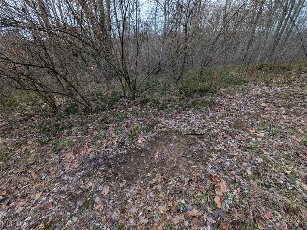 Brown Peavine Road Alledonia, OH 43902 - Photo 26 of 50