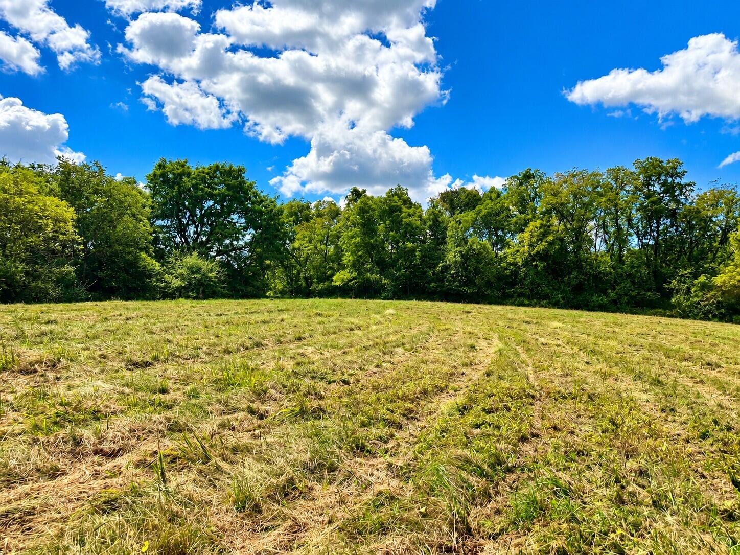 3735 State Rd AA Holts Summit, MO 65043 - Photo 21 of 57 Gallery Image 21