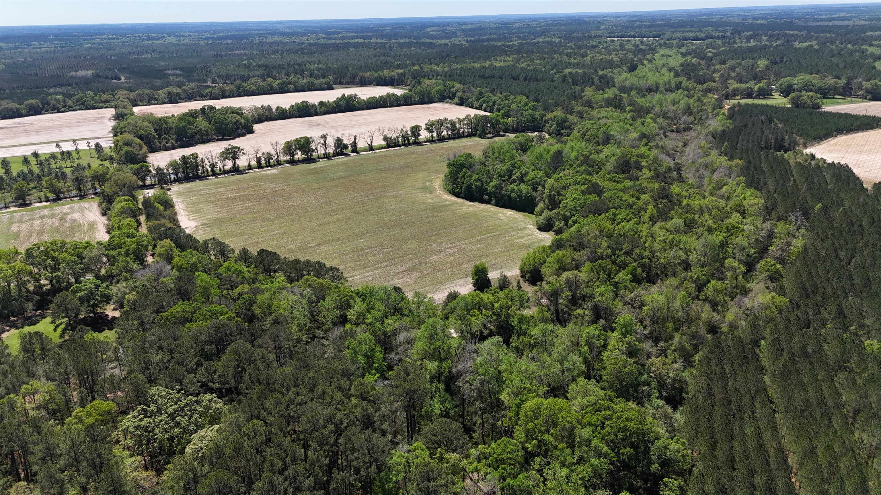 1975 Rook Road Ochlocknee, GA 31773 - Photo 25 of 42