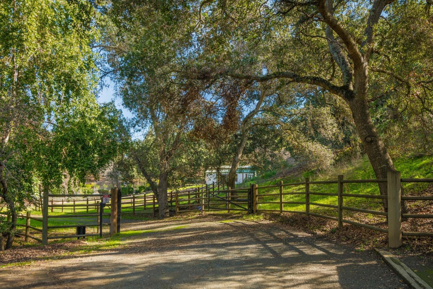 13398 Pierce Road Saratoga, CA 95070 - Photo 5 of 19 a view of a park with large trees