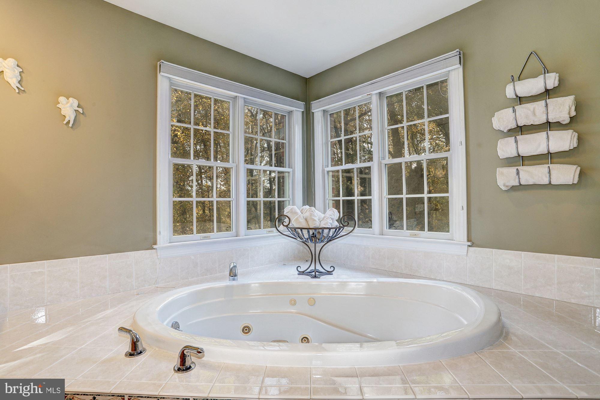 2679 Golf Island Road Ellicott City, MD 21042 - Photo 31 of 63 Primary Luxury Bath