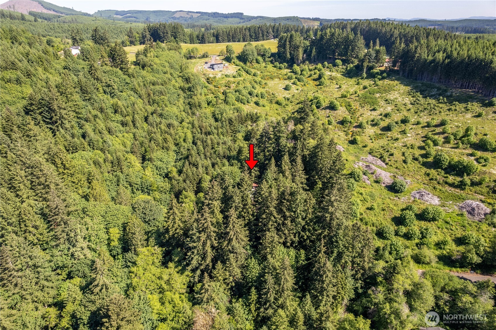 198 Burnett Road Winlock, WA 98596 - Photo 25 of 30