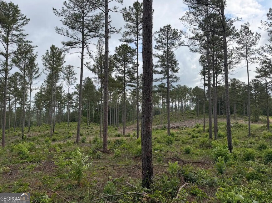 0 Mt Sinai Road, Unit LOT 1 Lula, GA 30554 - Photo 63 of 67