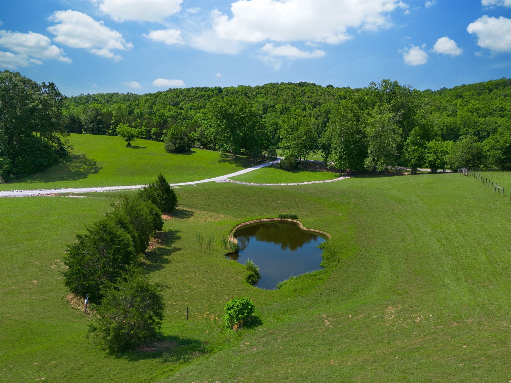 1732 Cedar Creek Road Vanleer, TN 37181 - Photo 80 of 95
