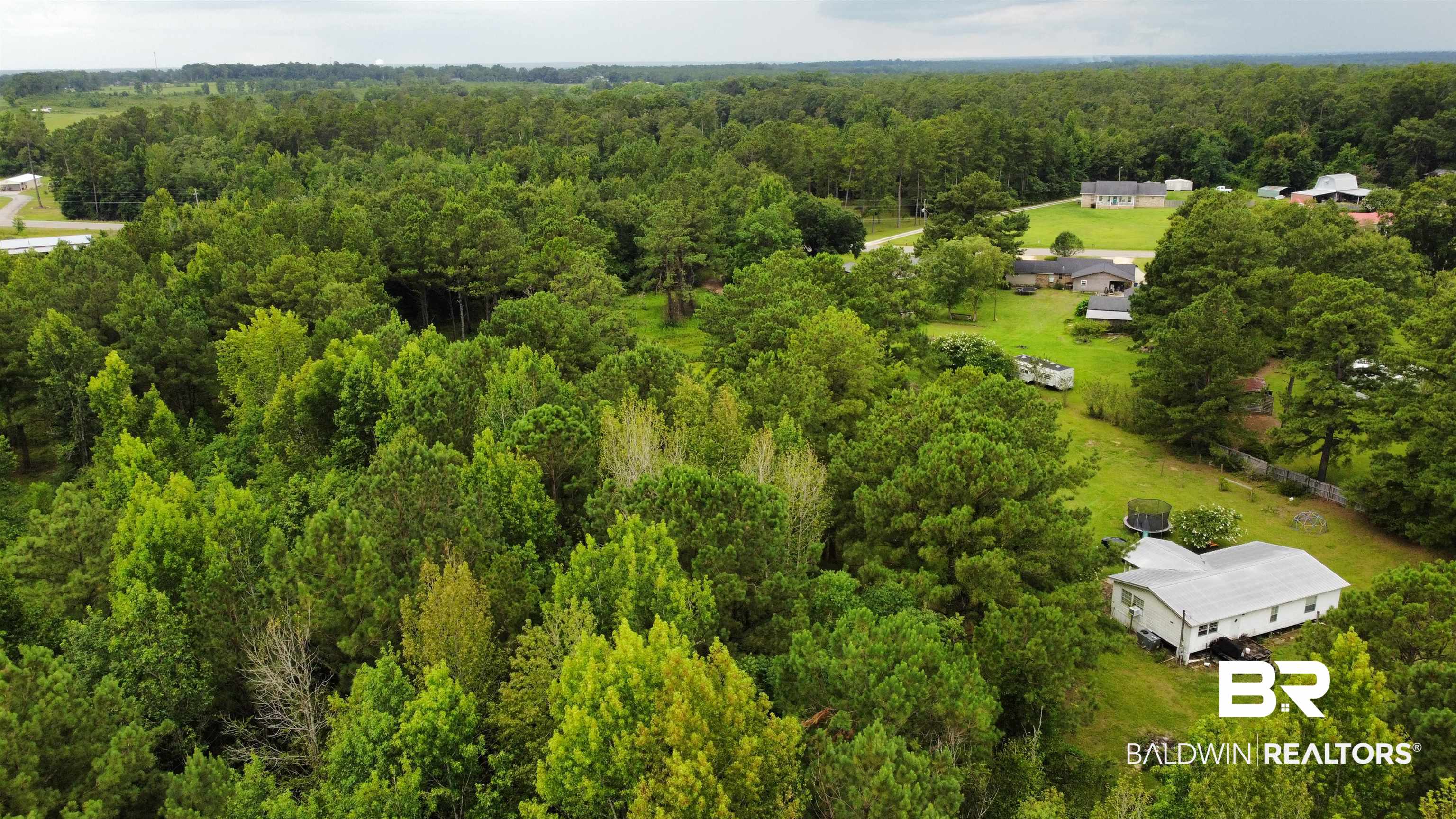 2520 Foshee Road Brewton, AL 36426 - Photo 6 of 10