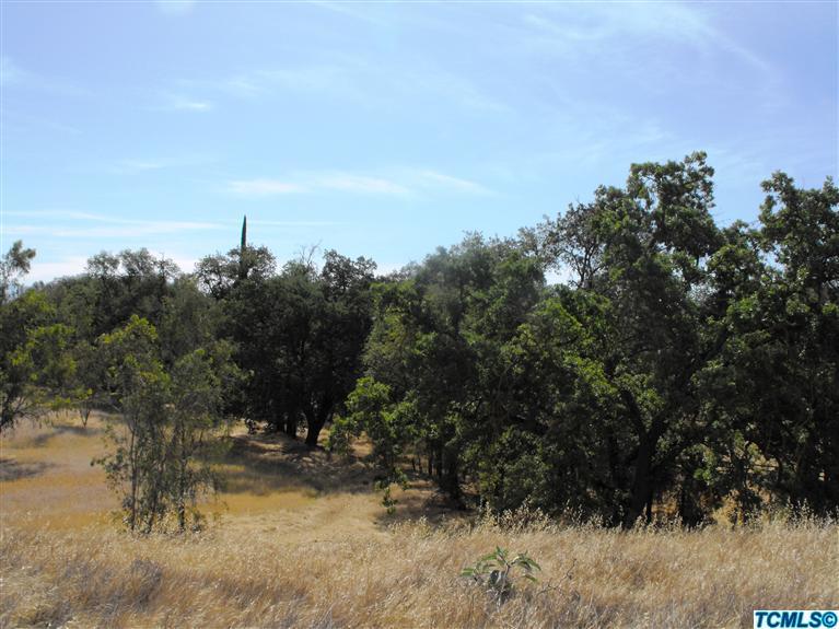 0 Northeast Ne Corner Reedley, CA 93654 - Photo 3 of 5 Additional Photo