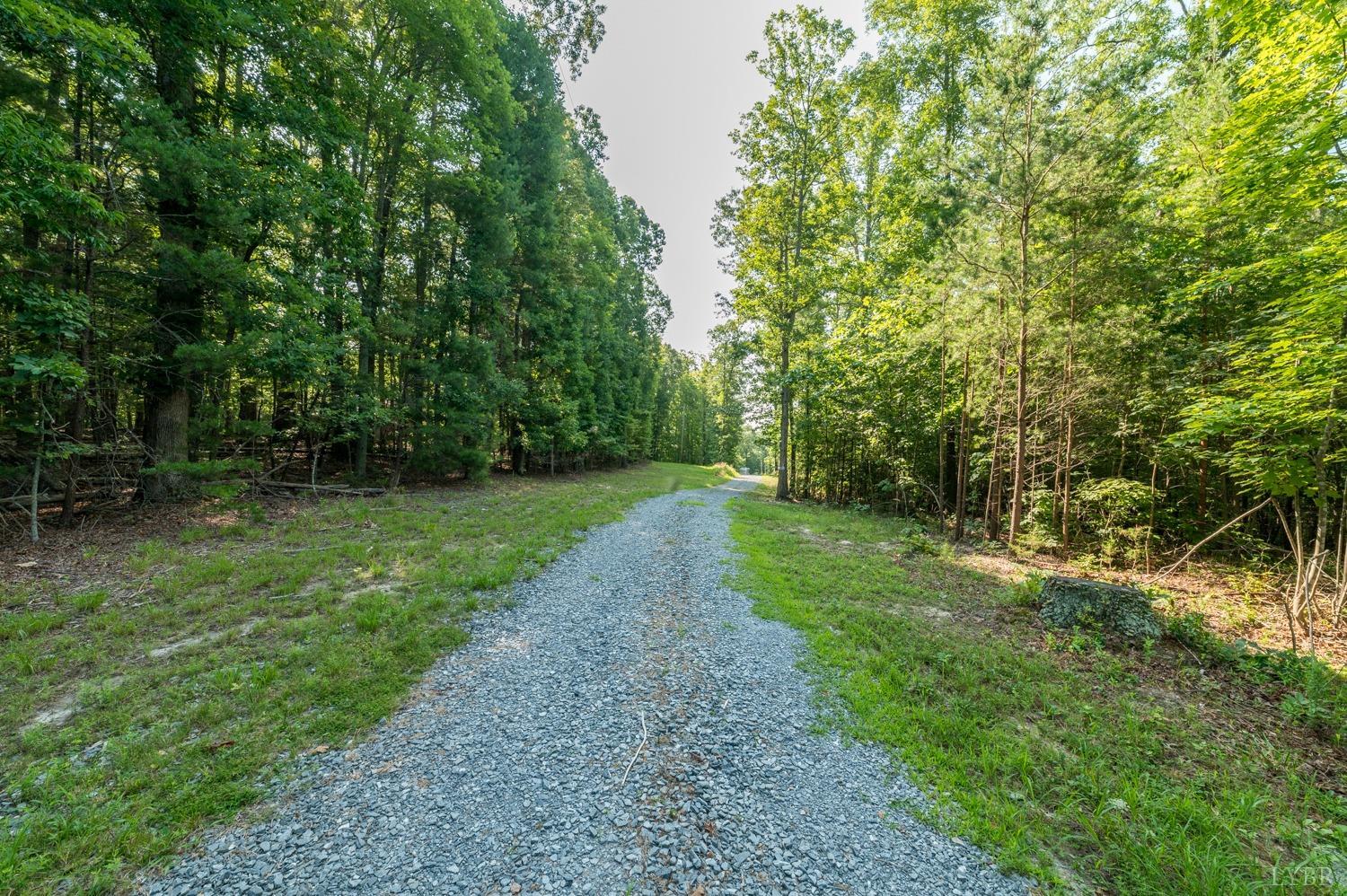 0 Buffalo Mill Road Evington, VA 24550 - Photo 4 of 14 Gallery Image 4