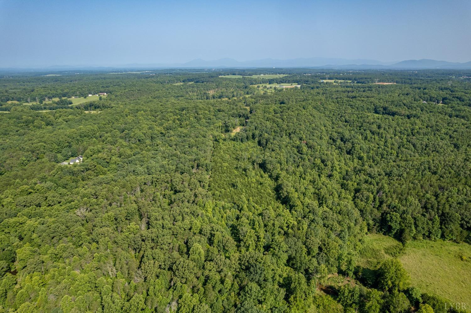 0 Buffalo Mill Road Evington, VA 24550 - Photo 10 of 14 Gallery Image 10