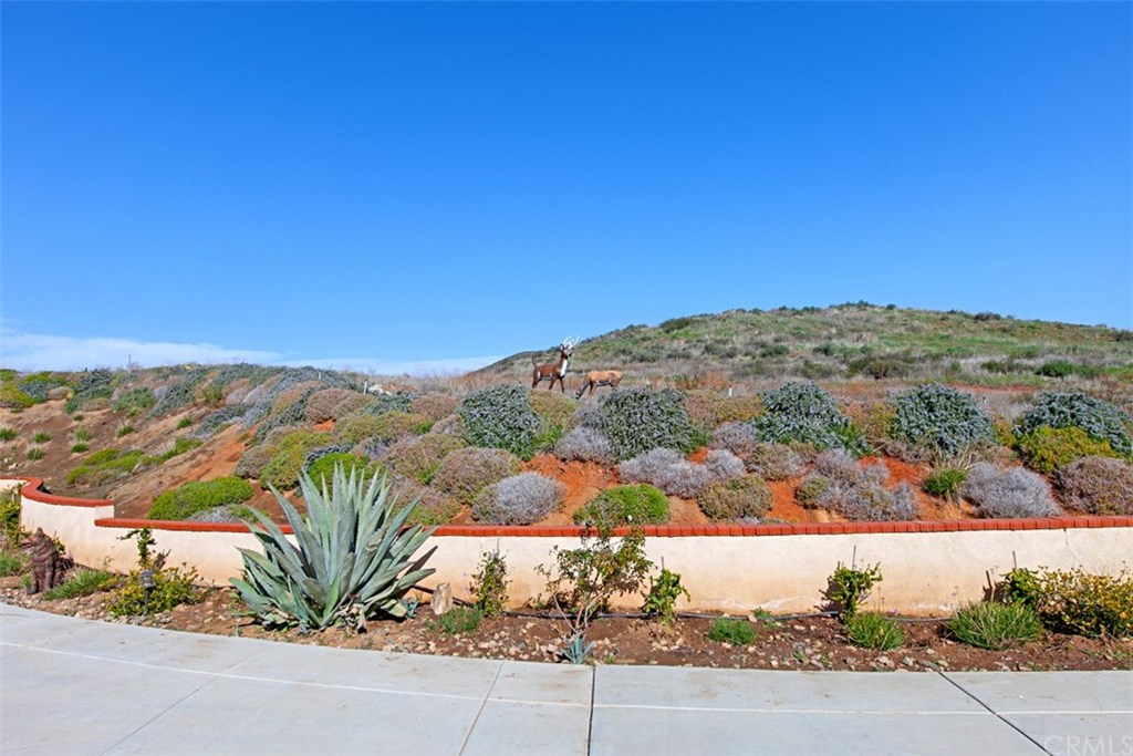 34310 Rawson Road Winchester, CA 92596 - Photo 14 of 63