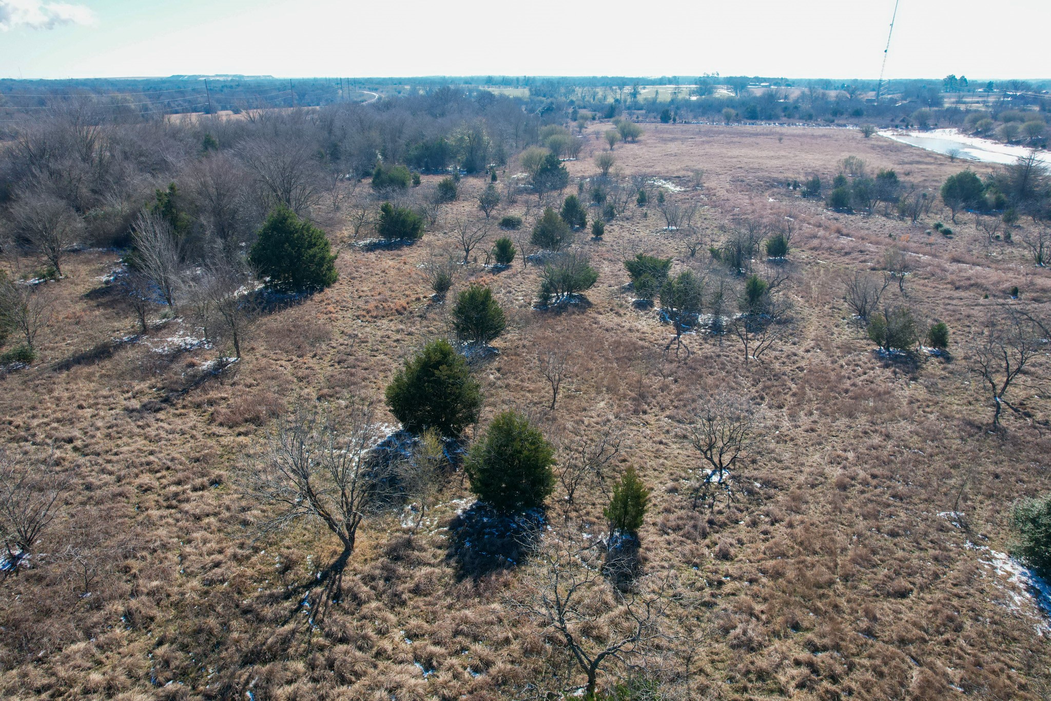 1 Prairie Grove Road Bremond, TX 76629 - Photo 19 of 24 a view of a dry field with trees in the background