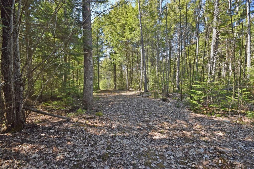 Lot A Dead Stream Road Lincoln, ME 04457 - Photo 5 of 11 Lot
