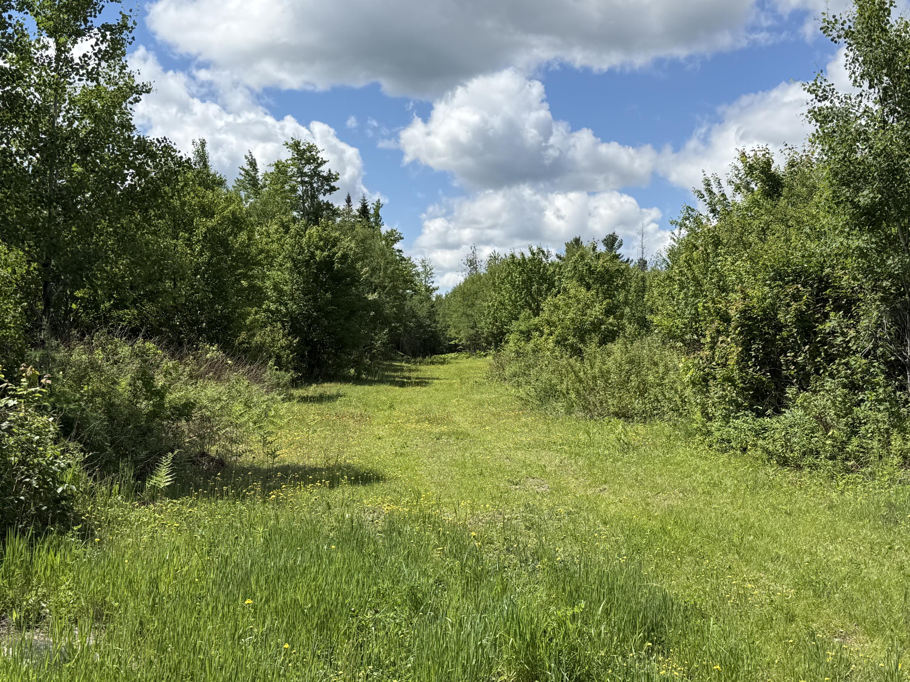 313 Wilcox Road Orient, ME 04471 - Photo 8 of 37 IMG_0131