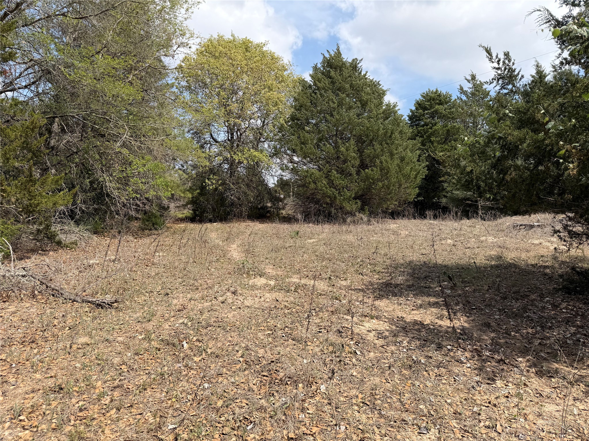 118 Edmonson Ranch Road McDade, TX 78650 - Photo 3 of 16 View of wild spaces