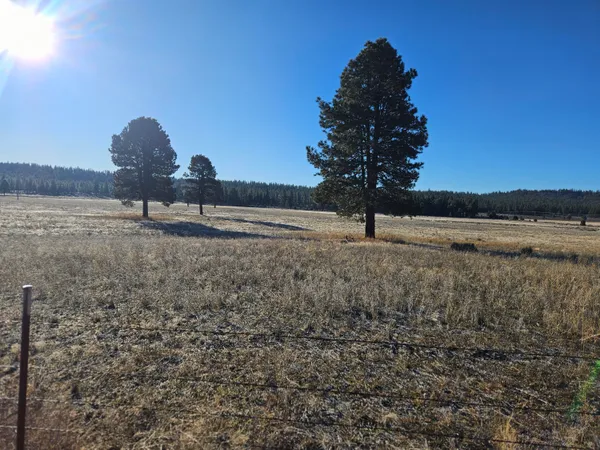 $255,000 | 31747 Godowa Springs Road, Beatty, OR 97621