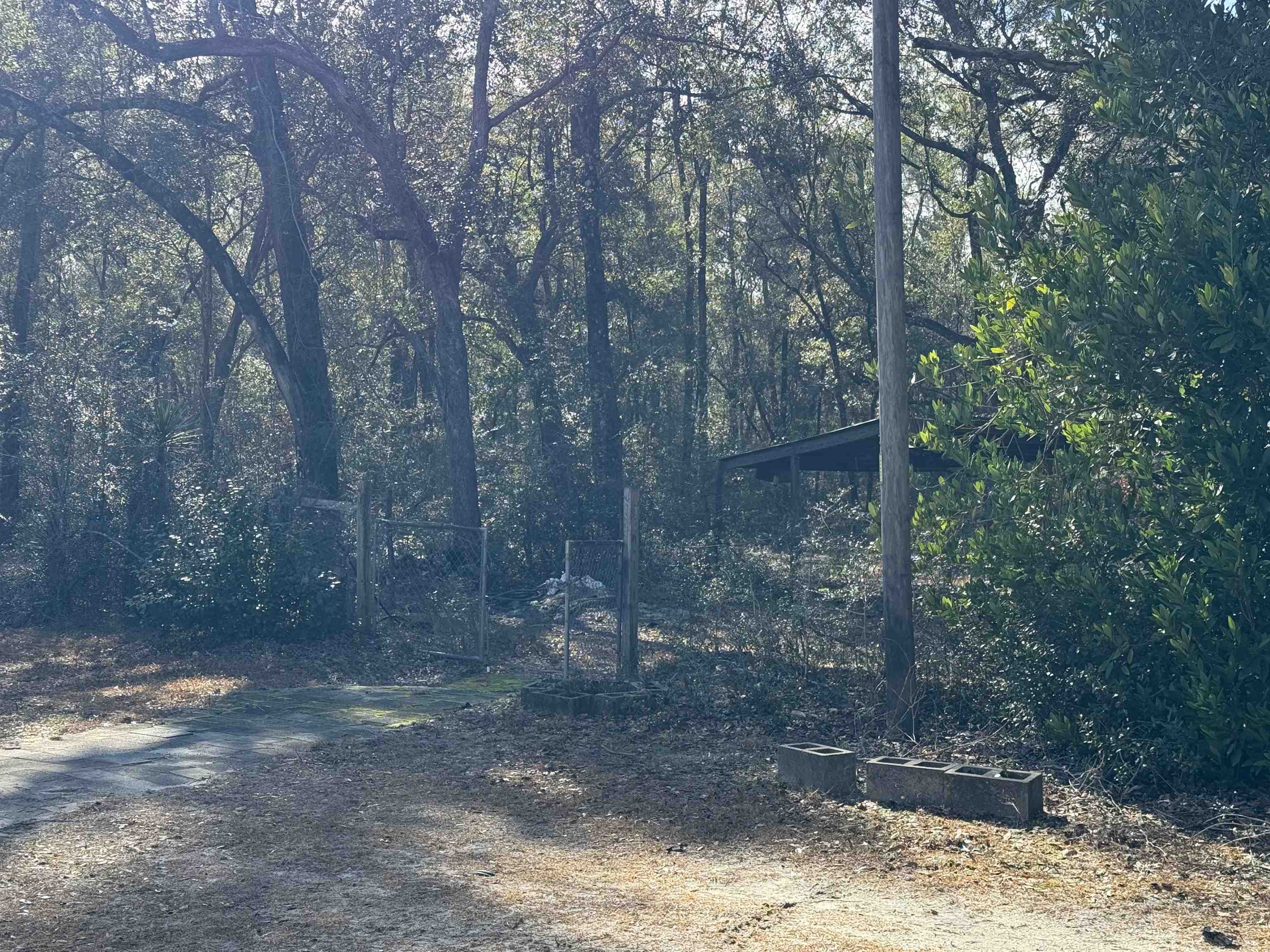 121 Roberts-Williams Road Crawfordville, FL 32327 - Photo 3 of 10