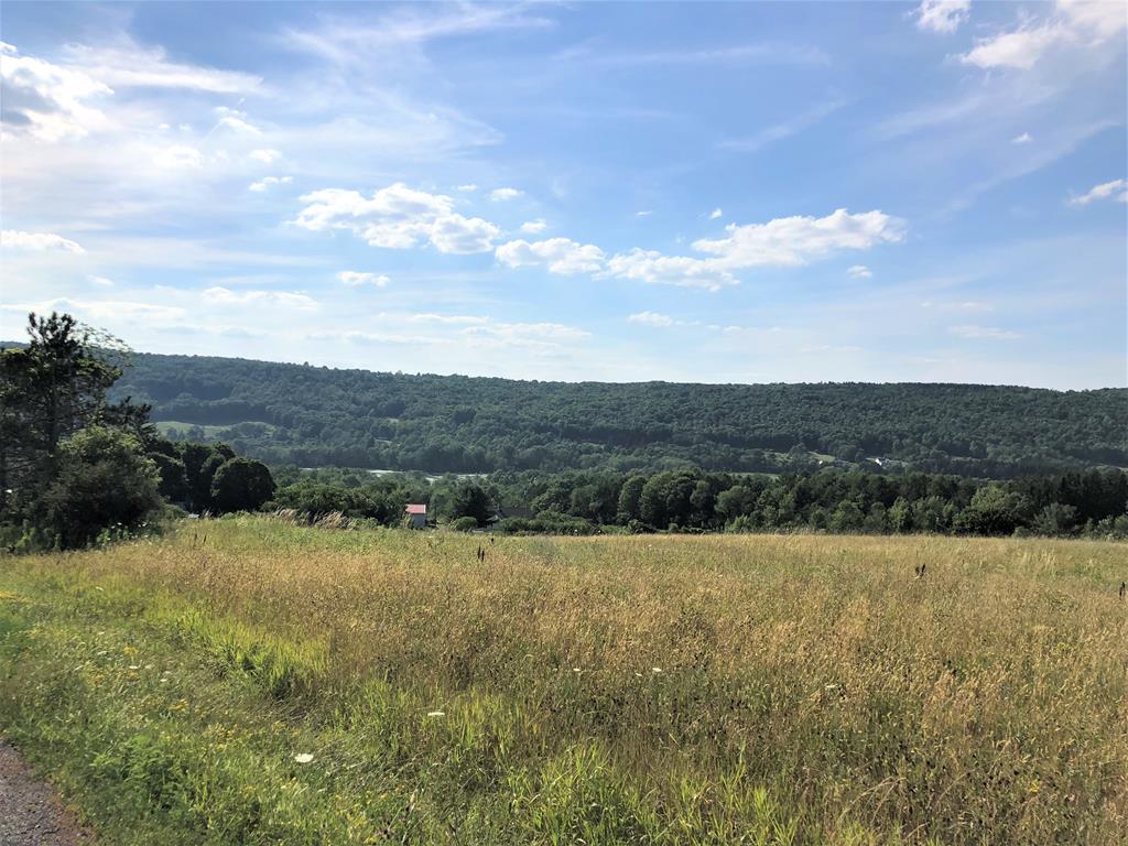 0 Manning Road Watkins Glen, NY 14891 - Photo 1 of 1 Gallery Image 1