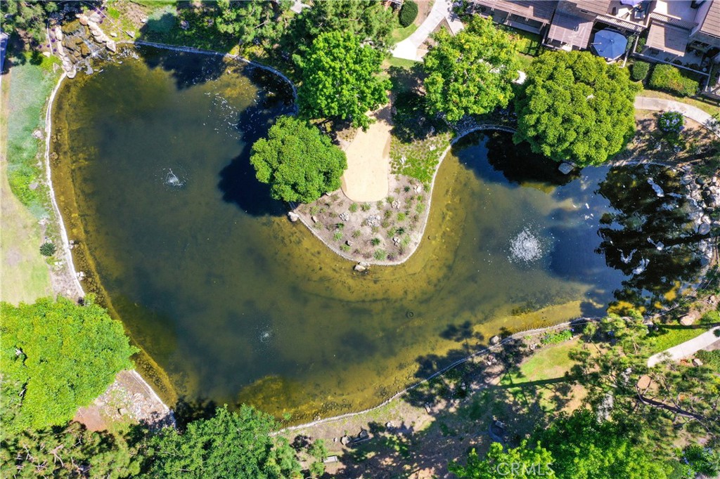 27112 Mill Pond Road, Unit 2 Dana Point, CA 92624 - Photo 43 of 51 Areal view