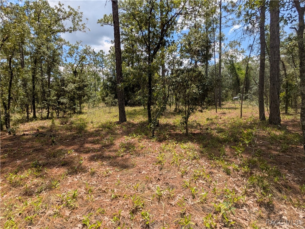 0 Northwest Ridgewood Road Dunnellon, FL 34431 - Photo 10 of 13
