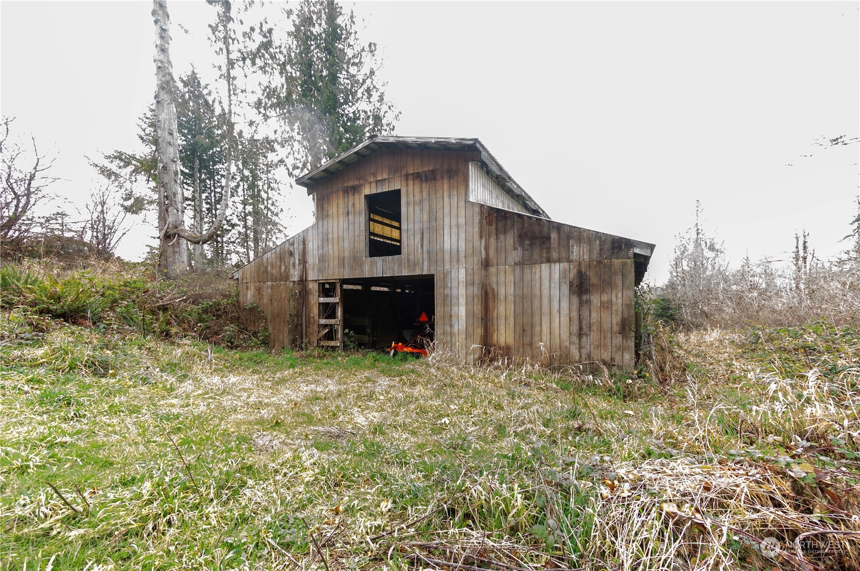 2712 Seminary Hill Road Centralia, WA 98531 - Photo 5 of 40 a backyard of a house with lots of green space