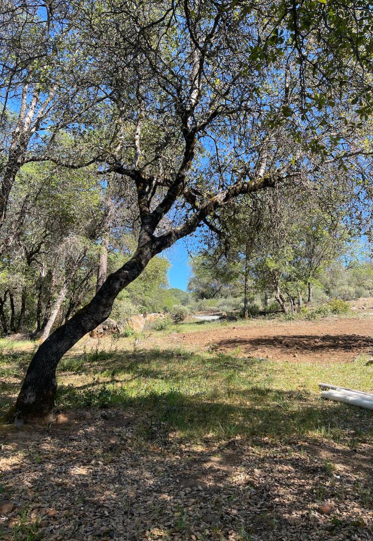 11550 Rex Reservoir Road Grass Valley, CA 95945 - Photo 1 of 1 Gallery Image 1