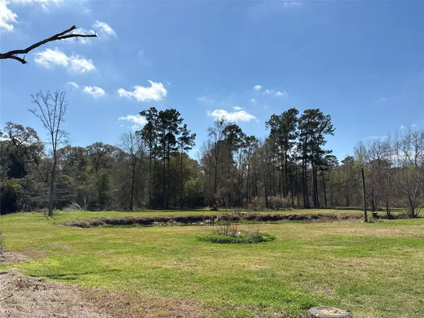 $130,000 | 1821 East Beverly Drive, Shepherd, TX 77371