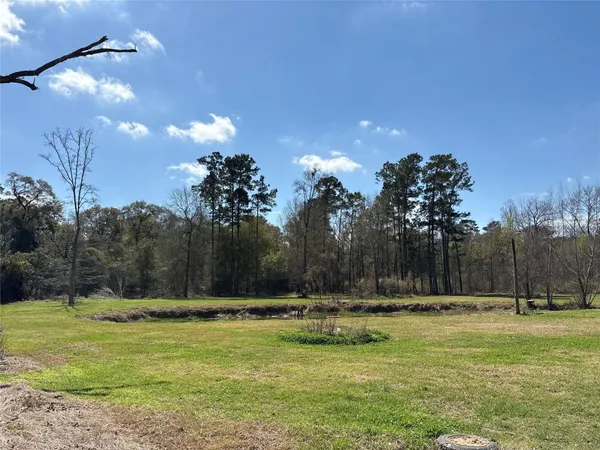 a view of outdoor space with garden and trees