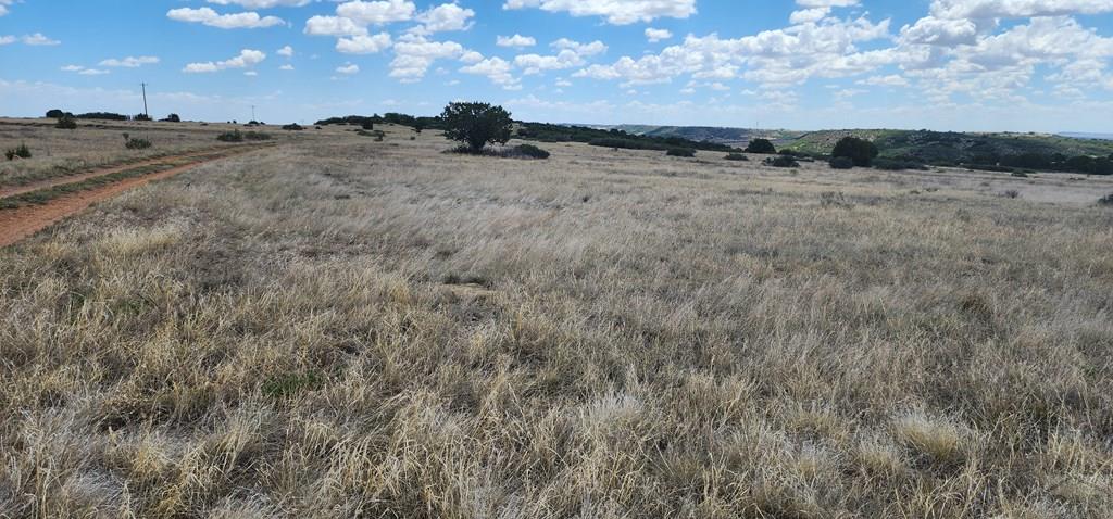 Tbd Patsy Circle Rye, CO 81069 - Photo 2 of 7 a view of a dry space with lots of trees