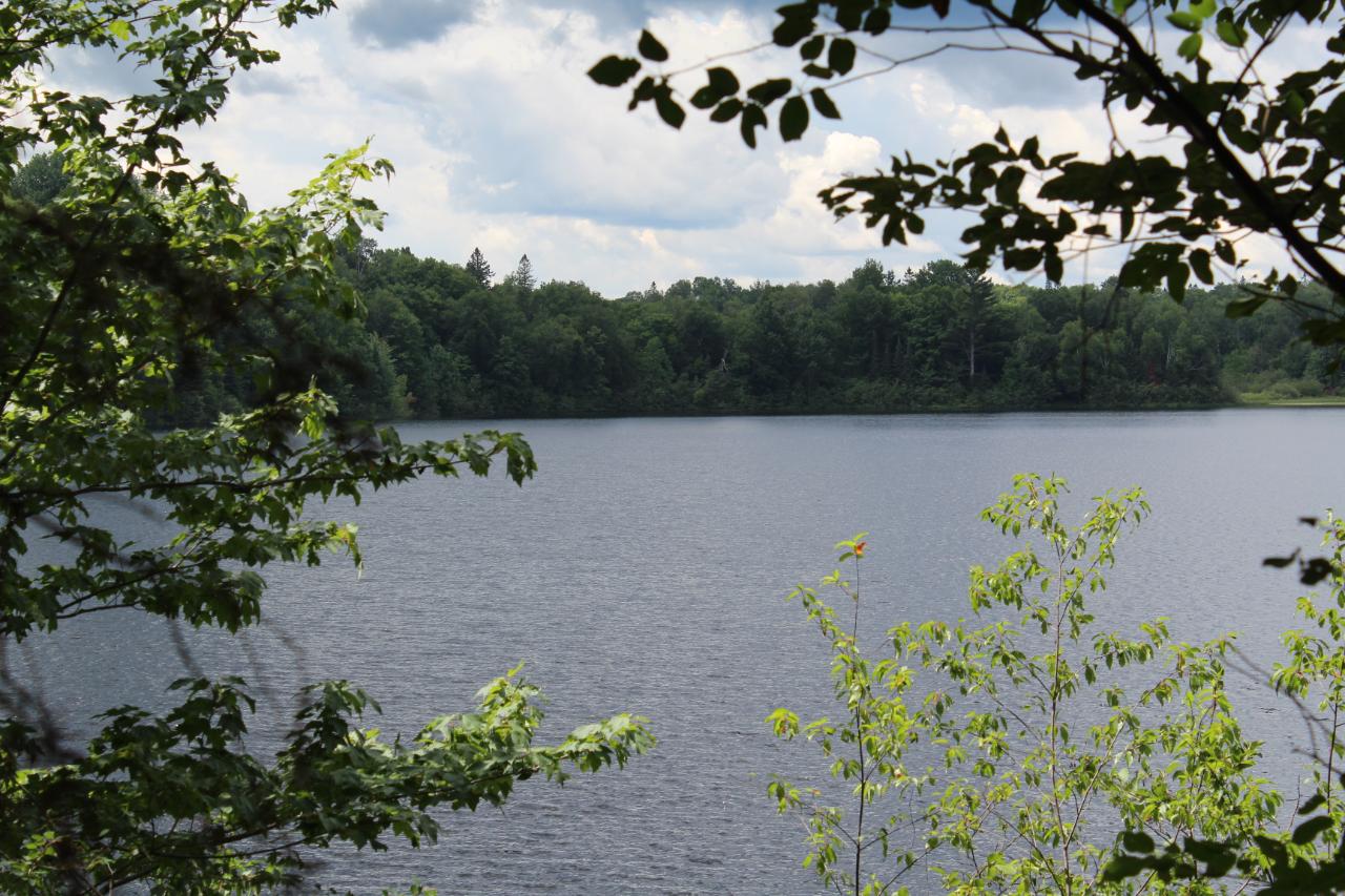 On On Tea Lake Road Marengo, WI 54855 - Photo 1 of 12 Gallery Image 1