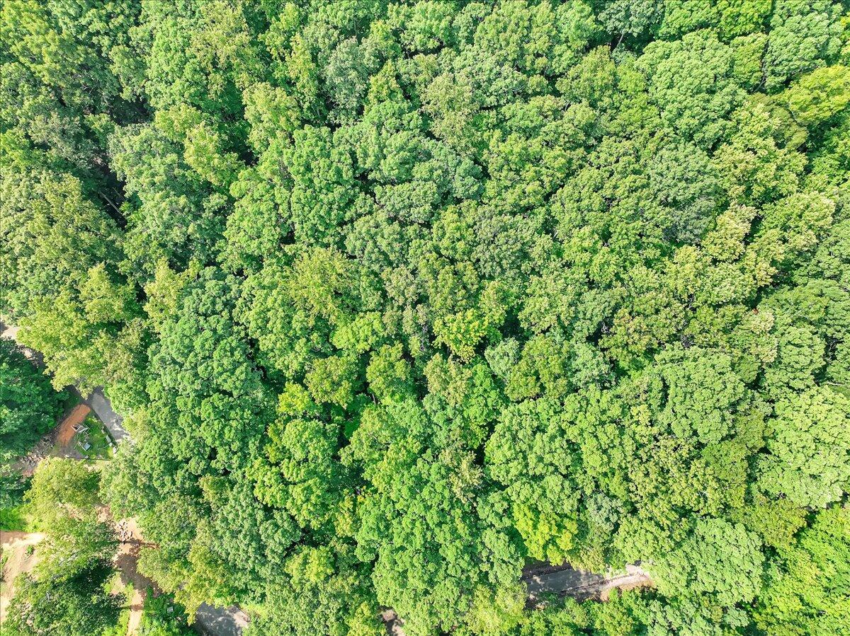 0 Browbend Drive, Unit 1&2 Guild, TN 37340 - Photo 12 of 14 11-Pinnacle Tour - Browbend Lot 1&2 - 10