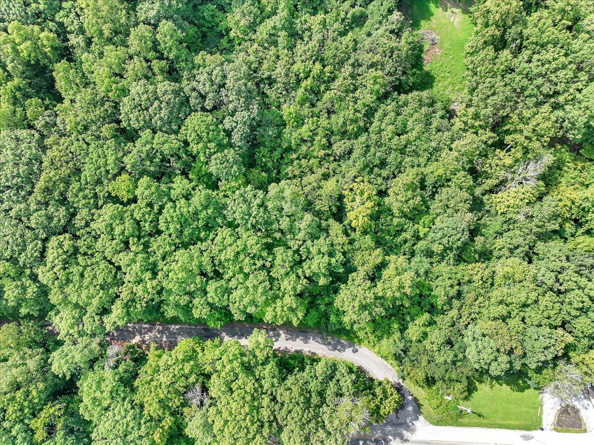 0 Browbend Drive, Unit 1&2 Guild, TN 37340 - Photo 14 of 14 13-Pinnacle Tour - Browbend Lot 1&2 - 12