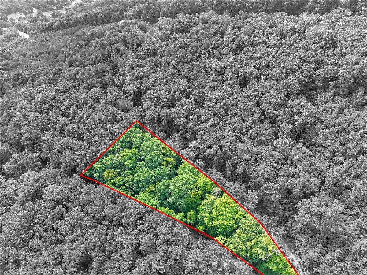 0 Browbend Drive, Unit 1&2 Guild, TN 37340 - Photo 2 of 14 01-Pinnacle Tour - Browbend Lot 1&2 - 03