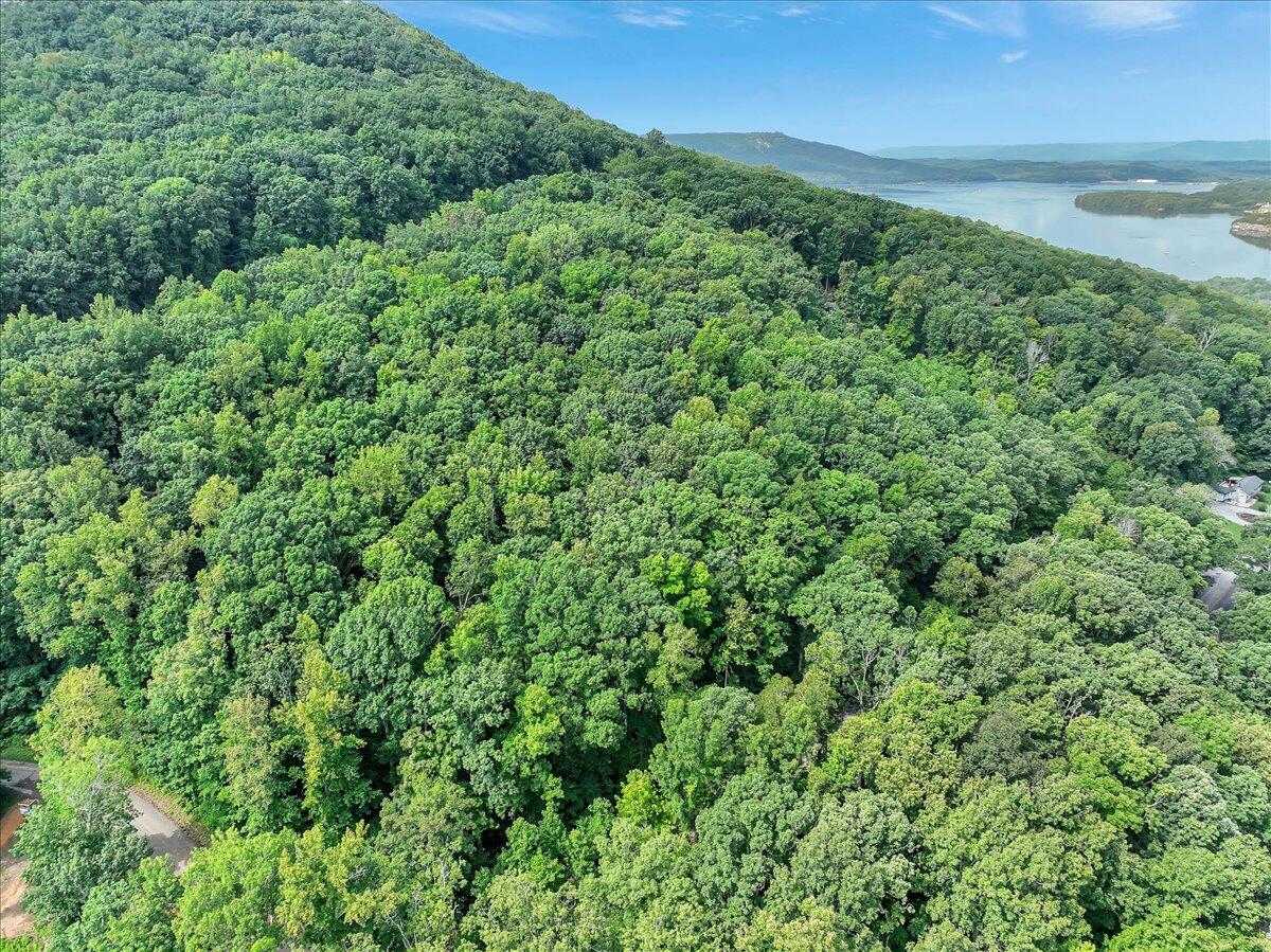 0 Browbend Drive, Unit 1&2 Guild, TN 37340 - Photo 3 of 14 02-Pinnacle Tour - Browbend Lot 1&2 - 01