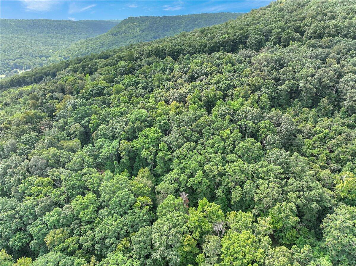 0 Browbend Drive, Unit 1&2 Guild, TN 37340 - Photo 4 of 14 03-Pinnacle Tour - Browbend Lot 1&2 - 02