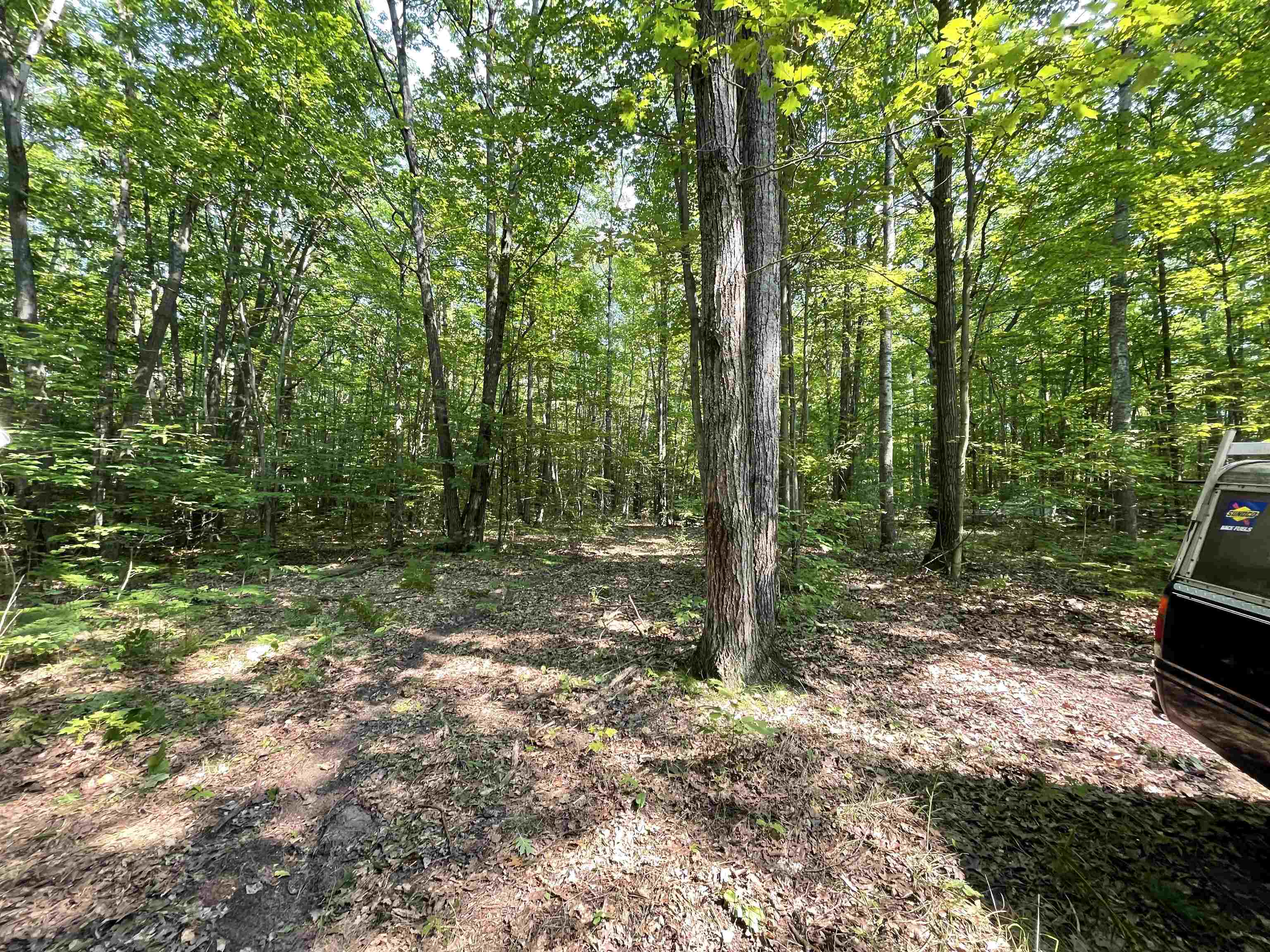 5624 Sayers Road Black River, MI 48721 - Photo 11 of 13 Gallery Image 11