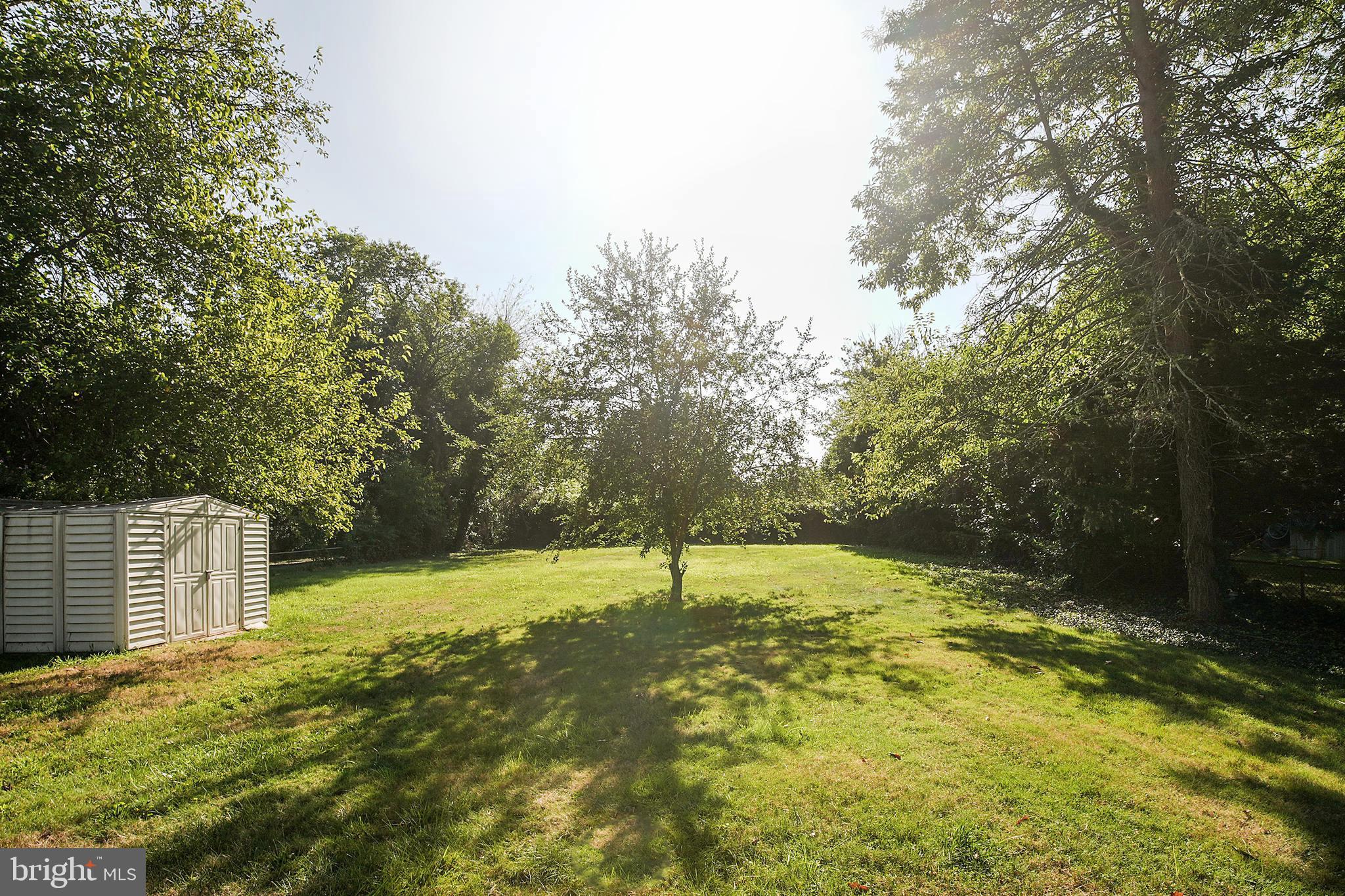 161 New Freedom Road Berlin, NJ 08009 - Photo 28 of 31 a view of yard with trees