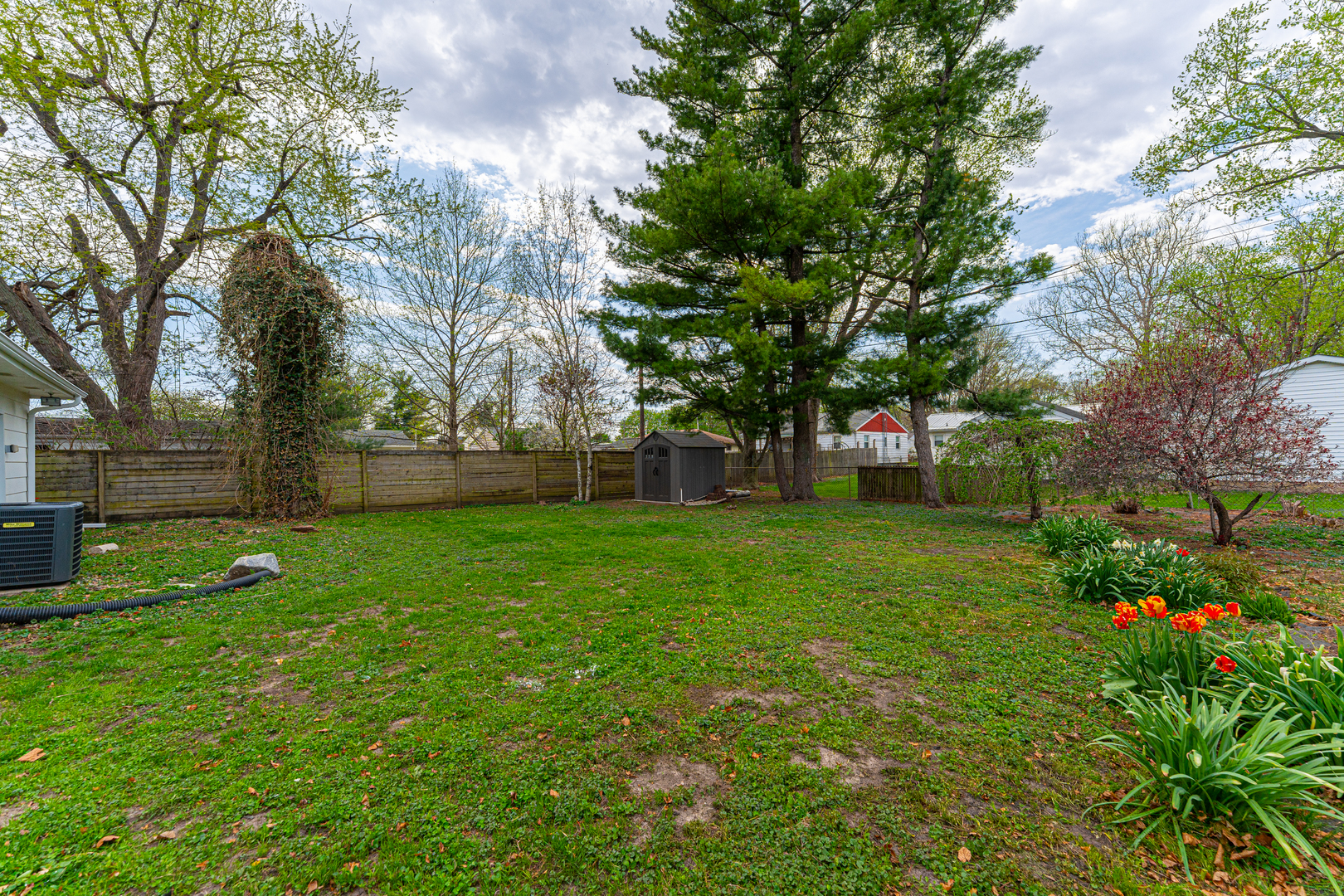 805 South Grove Street Normal, IL 61761 - Photo 31 of 32 a view of a garden with a tree
