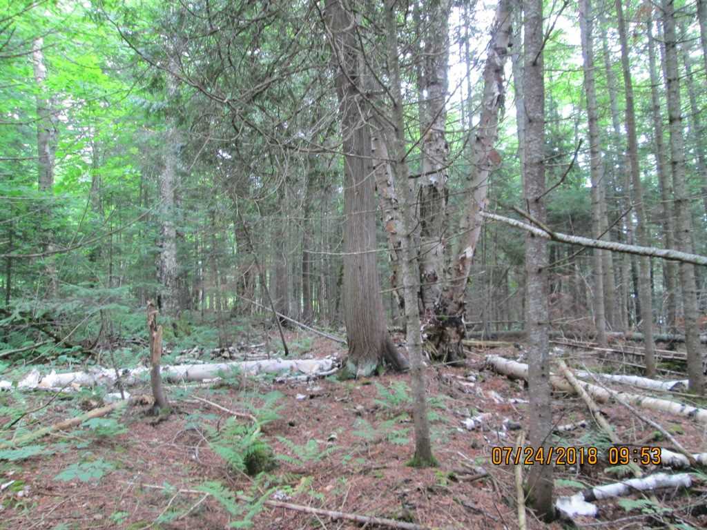 10001 Cottage Road Canaan, VT 05903 - Photo 8 of 14