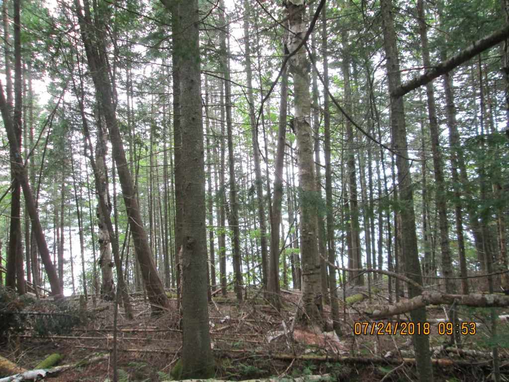 10001 Cottage Road Canaan, VT 05903 - Photo 9 of 14