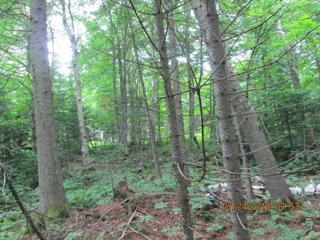 10001 Cottage Road Canaan, VT 05903 - Photo 10 of 14