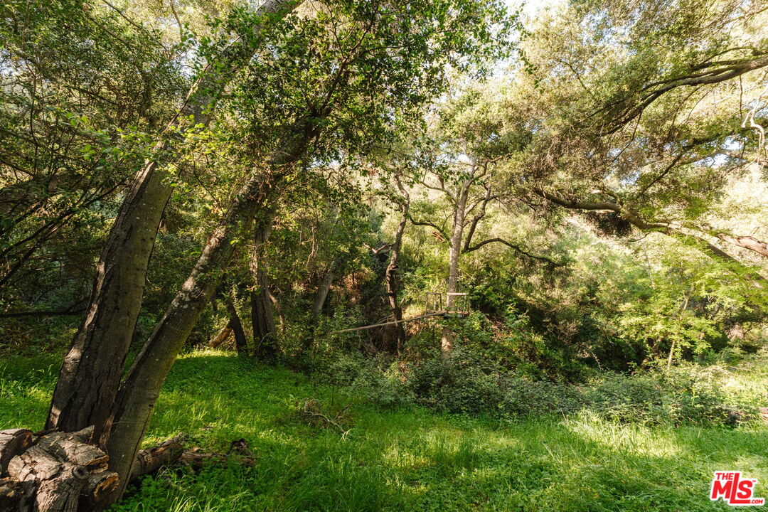 20906 Fontaine Road Topanga, CA 90290 - Photo 65 of 73