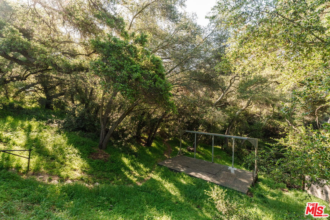 20906 Fontaine Road Topanga, CA 90290 - Photo 66 of 73 a view of yard with tree